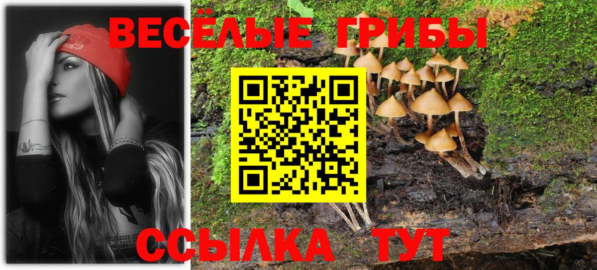 Галлюциногенные грибы мицелий  Вход с VPN  Верхняя Салда 